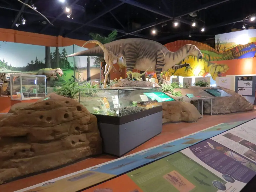 Family Activities Isle Of Wight - Isle Of Wight Family Activities - Dinosaur Isle On The Isle Of Wight Family Activities Isle Of Wight - Isle Of Wight Family Activities - Dinosaur Isle On The Isle Of Wight