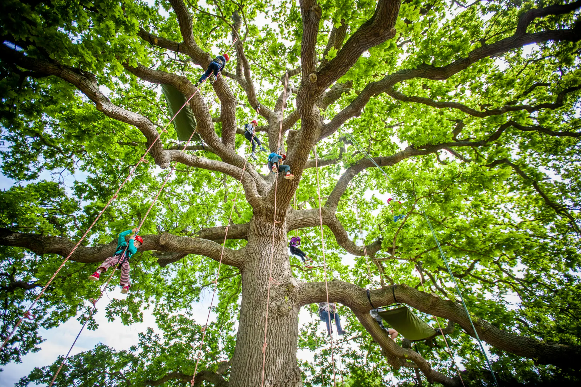 Adventure Activities Isle Of Wight - Isle Of Wight Adventure Activities - Goodleaf Tree Climbing Isle Of Wight Adventure Activities Isle Of Wight - Isle Of Wight Adventure Activities - Goodleaf Tree Climbing Isle Of Wight